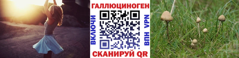 Галлюциногенные грибы Magic Shrooms  Стародуб 